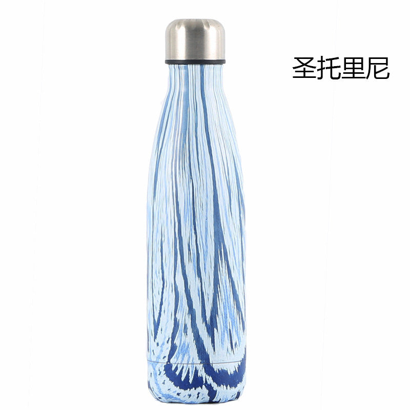 Insulated Sports Water Bottle